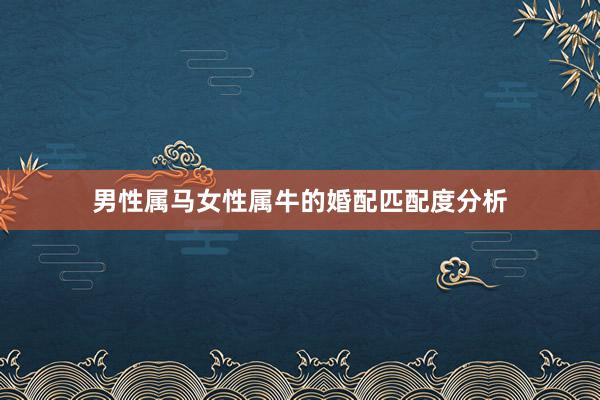 男性属马女性属牛的婚配匹配度分析