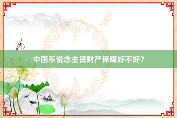 中国东说念主民财产保障好不好？